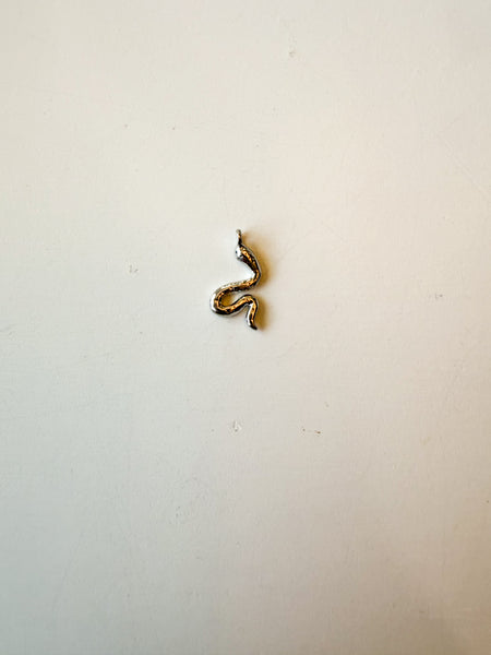 Silver snake Charm