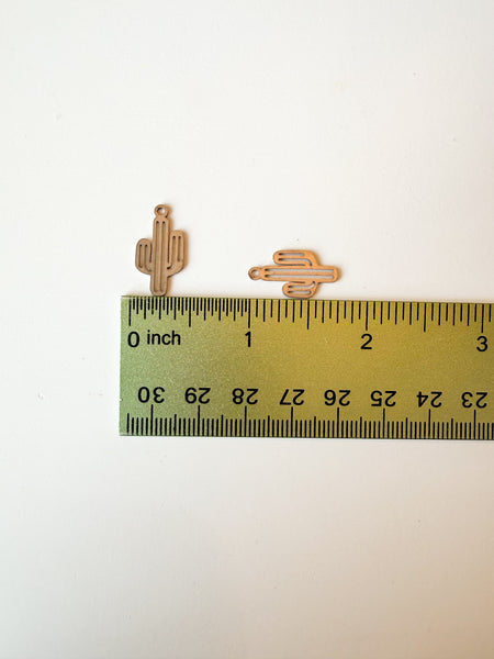 Cactus Charm