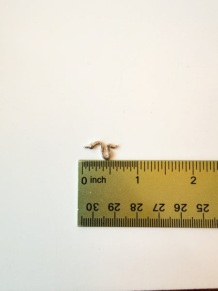 Silver snake Charm